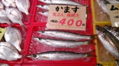 今１番おすすめ魚達はこれだ！