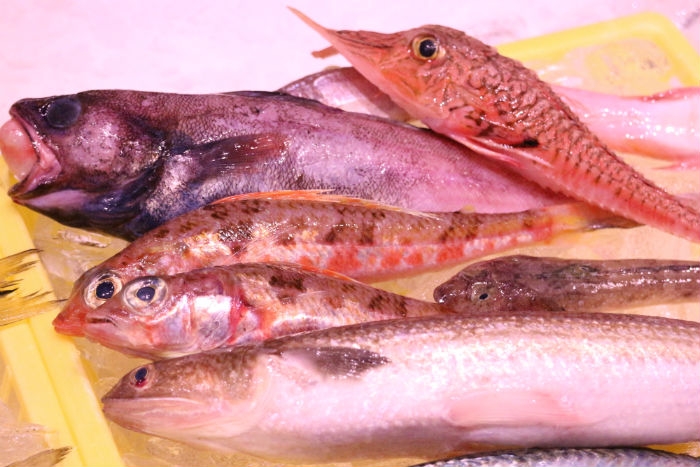 魚太郎ピチピチブログ 南知多産 小鯖だってサバ味噌煮にすると旨い 知多半島の魚貝類 鮮魚から干物まで直送する 魚太郎