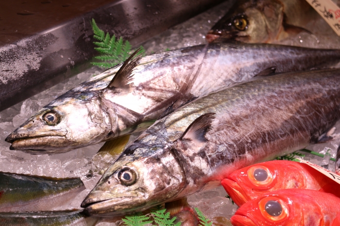 魚太郎ピチピチブログ 秋が旬の 鰆 さわら 刺身で食べたことありますか 知多半島の魚貝類 鮮魚から干物まで直送する 魚太郎