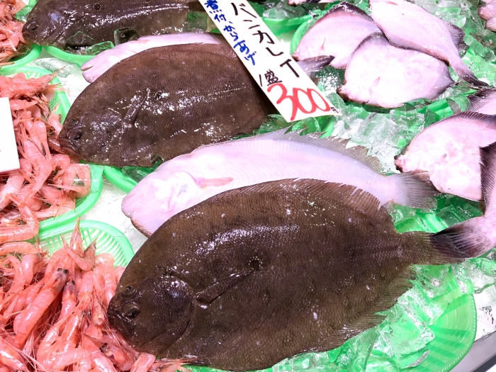 魚太郎ピチピチブログ 南知多産カレイの種類多すぎ 煮つけ最強説 問題を解決します 知多半島の魚貝類 鮮魚から干物まで直送する 魚太郎