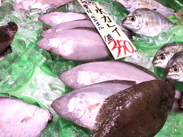 魚太郎ピチピチブログ 南知多産カレイの種類多すぎ 煮つけ最強説 問題を解決します 知多半島の魚貝類 鮮魚から干物まで直送する 魚太郎