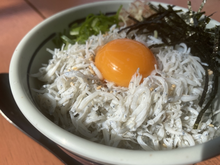 南知多は全国有数の名産地! 春のしらす漁始まってます