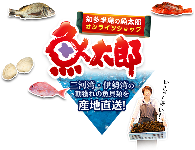 魚太郎の通販 知多半島の朝獲れの魚貝類 鮮魚から干物まで直送