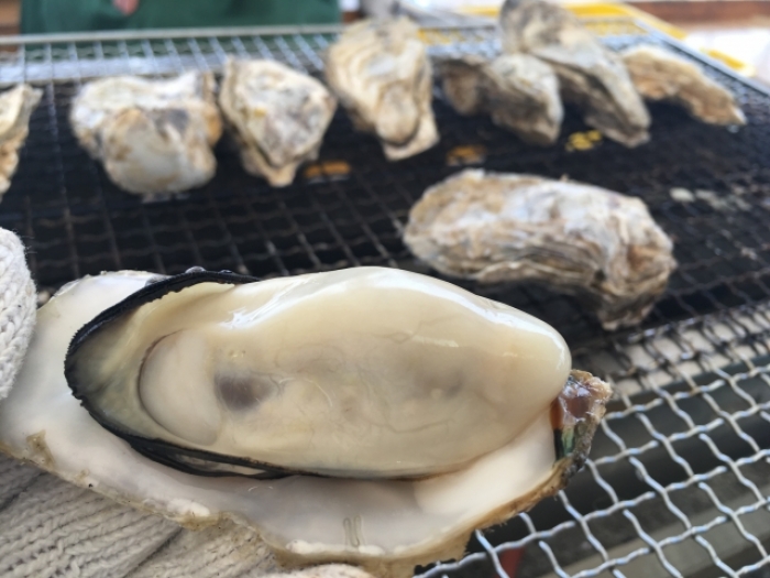 浜焼きBBQセット（約2人前）　（~14：00までの注文で当日発送！）