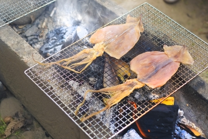 するめいか　小