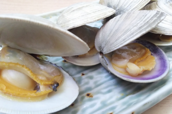 活 ホンビノス貝 600ｇ 貝類 知多半島の伊勢湾 三河湾の朝獲れの魚貝類 鮮魚から干物を直送する魚太郎の通販ページです