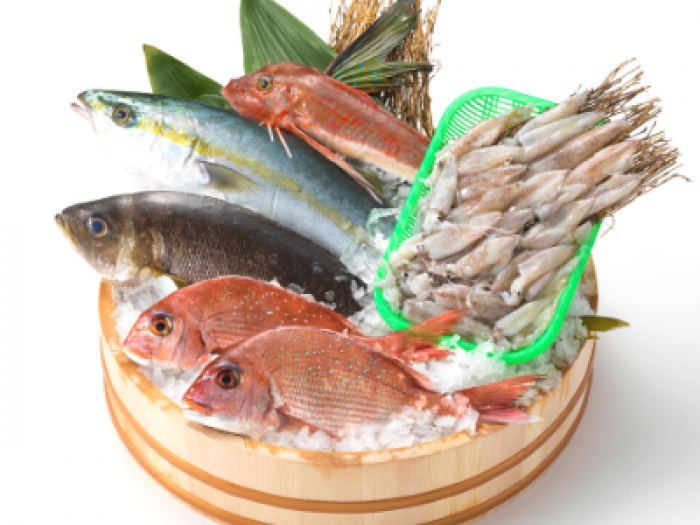 【地魚おまかせ】天然！旬の地魚セット（送料込み）