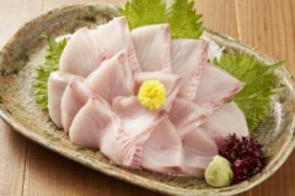 秋が旬の【鰆】さわら、刺身で食べたことありますか？