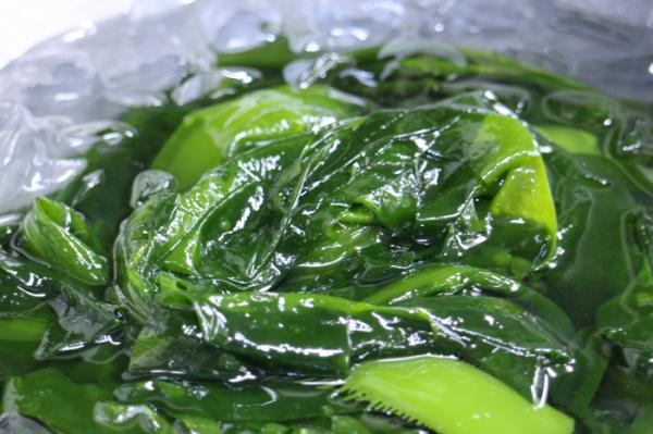 冬の知多半島 旬の海藻に変化