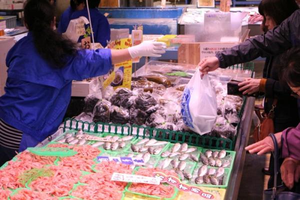 冬の知多半島 旬の海藻に変化