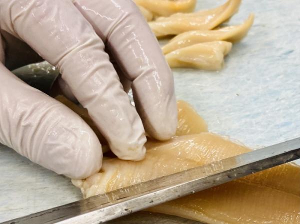 南知多産 白みる貝~春は貝の旬~