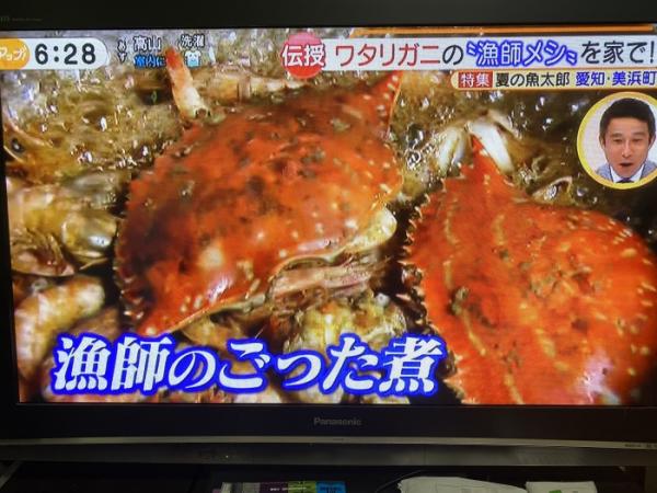 知多半島の夏を代表する小魚『ゼンメ』