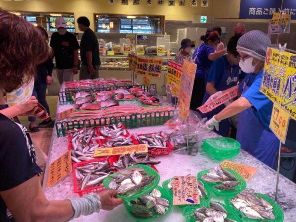 知多半島の夏を代表する小魚『ゼンメ』